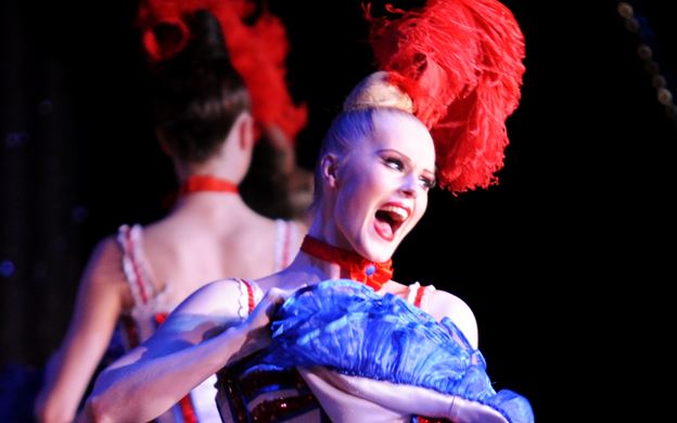 Moulin Rouge Show with Free Paris Illuminations Tour